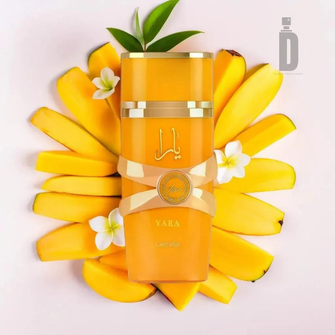 Yara Tous 100ml EDP - Lattafa